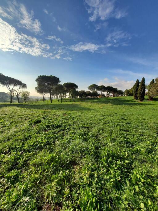 El Meskiny * Rome